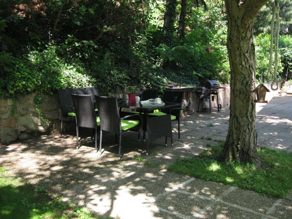 Danube View House With Garden Lejlighed Wien Eksteriør billede