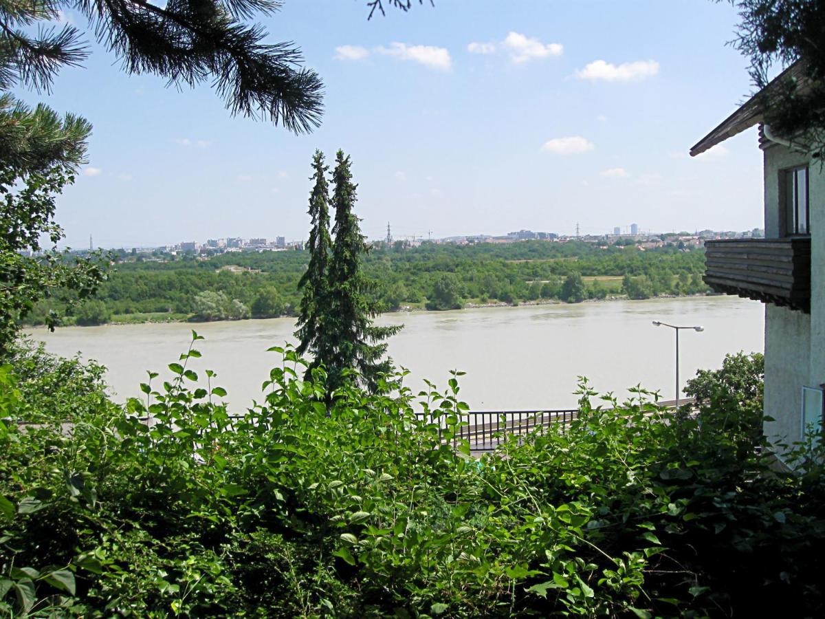 Danube View House With Garden Lejlighed Wien Eksteriør billede